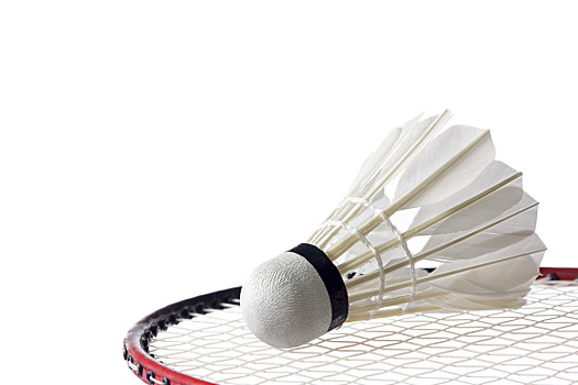 甲中上游迈 甲中上游迈